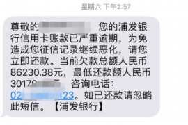 阜阳专业讨债公司，追讨消失的老赖